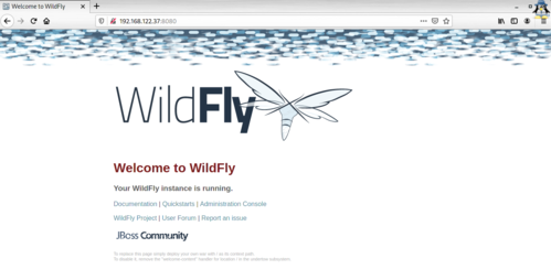 Linux: Rodando Wildfly no Podman