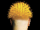 Jack Ripoff