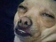 roney