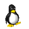 QuanticoDW