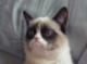 Foto de LUCAS
