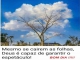 Foto de Celso Cavalheiro