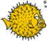 renatobico