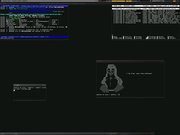 Blackbox login tux