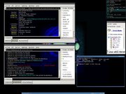 Blackbox Xchat+Torsmo+Amsn+aterm