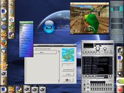 Window Maker Apresentando ChestNut Dialer