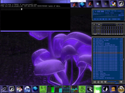 Window Maker xmms + dockapps + ping firmeza