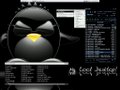 Blackbox BlackBox Black