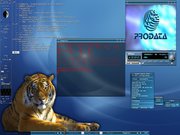 Fluxbox Linux + Prodata