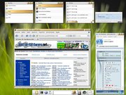 Enlightenment E17 sobre Ubuntu Feisty + aMSN 0.97