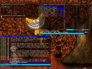 Fluxbox Ubuntu  - Fluxbox - MOC - WEECHAT - Eterm