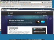 Fluxbox Nova cara para meu website