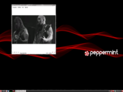 LXDE Peppermint Linux