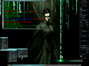 Fluxbox Matrix