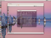 Unity Ubuntu 14.04
