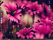 MATE Ubuntu Mate + Cairo