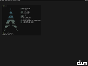 TWM arch w/ dwm