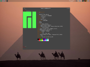 Window Maker Manjaro - Kernel 4.12