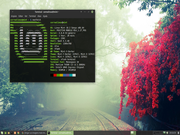 Xfce LM 18.02