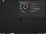 Cinnamon Debian 9.1