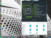 Cinnamon Linux Mint