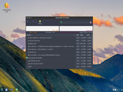 Openbox ...