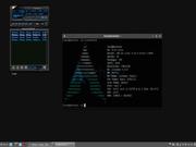 Cinnamon Arch Linux