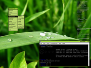 Fluxbox Slack+OpenBox