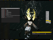 Openbox Aracn&iacute;deo!