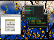 Openbox Gentoo B&aacute;sico.