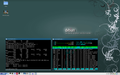 LXDE Squeeze 55 RAM texto 95 RAM gr&aacute;fico