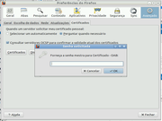 LXDE Preferencias do Firefox1