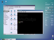 LXDE keep simple...