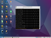 LXDE My workspace