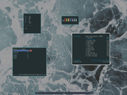 TWM Void bspwm