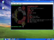 LXDE Lubuntu WXP