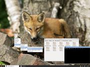 Openbox Raposa
