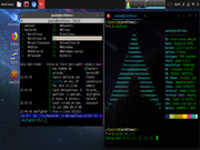 Cinnamon Arch Linux + cinnamon + weechat
