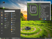 Cinnamon Linux Mint 18.02