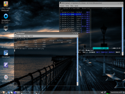 LXDE LXDE + MOC Player