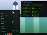 Pantheon Fedora Deepin