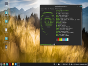 Cinnamon LMDE 6 Salvando notebook