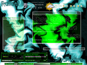 Fluxbox Show de Slack ...