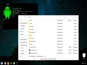 Tablets Phoenix OS