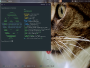 Xfce Uma breve ida ao Void