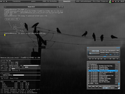 Fluxbox FreeBSD - Dark City