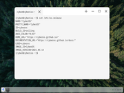 DDE CyberOS