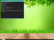 Fluxbox Slax 9.11.0