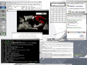 Blackbox Slackware 10.0, Kaffeine...