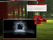 Blackbox blackbox transparente